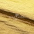 Текстильный материал "Диско"#1805 с покрытием РЕТ, 40гр/м2, 100% полиэстер, цв.5-золото - купить в Уфе. Цена 412.36 руб.