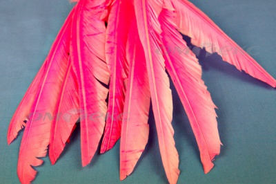 Декоративный Пучок из перьев, перо 25см/розовый - купить в Уфе. Цена: 14.40 руб.