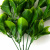Трава искусственная -1, шт (эвкалипт лист 32 см/8 см)				 - купить в Уфе. Цена: 169.93 руб.