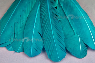 Декоративный Пучок из перьев, перо 24см/голубой - купить в Уфе. Цена: 12.19 руб.
