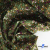 Ткань костюмная «Микровельвет велюровый принт», 220 г/м2, 97% полиэстр, 3% спандекс, ш. 150См Цв  #9 - купить в Уфе. Цена 439.76 руб.