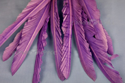 Декоративный Пучок из перьев, перо 25см/фиолетовый - купить в Уфе. Цена: 12.19 руб.