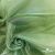 Ткань органза, 100% полиэстр, 28г/м2, шир. 150 см, цв. #27 зеленый - купить в Уфе. Цена 86.24 руб.