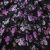Плательная ткань "Фламенко" 20.1, 80 гр/м2, шир.150 см, принт растительный - купить в Уфе. Цена 241.49 руб.