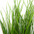 Трава искусственная -4, шт  (осока 50 см/8 см  7 листов)				 - купить в Уфе. Цена: 130.73 руб.
