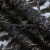 Кружевное полотно XD LACE 1-4, 80 гр/м2, шир.150см, цвет чёрный - купить в Уфе. Цена 245.94 руб.